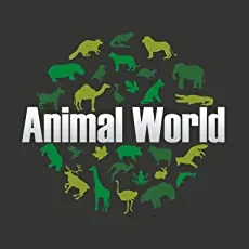 Animal World